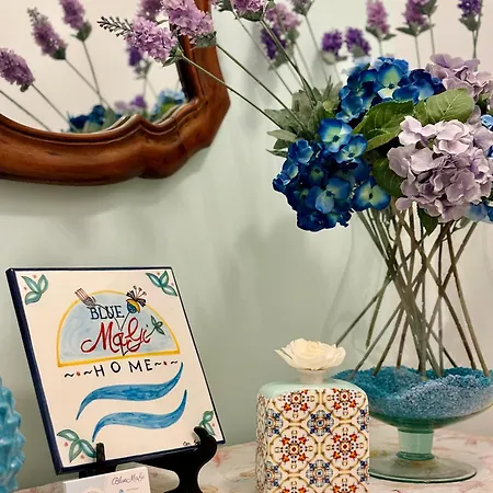 Casa de hóspedes Bluemagi